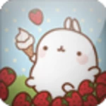 Logo of [SSKIN] Molang_sweet_Liveback android Application 